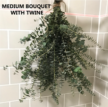 Load image into Gallery viewer, FRESH Eucalyptus Bouquet | Silver Leaf Mountain Gum Eucalyptus Branches | Aromatherapy, Tablescape, Self Care
