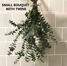 Load image into Gallery viewer, FRESH Eucalyptus Bouquet | Silver Leaf Mountain Gum Eucalyptus Branches | Aromatherapy, Tablescape, Self Care
